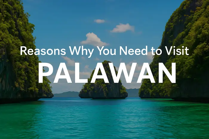 reasons why you need to visit palawan